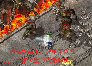 传奇多钩猫王在哪里可以找到?详细位置与攻略解析 传奇多钩猫王在哪里可以找到?详细位置与攻略解析