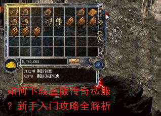 ����������洫��˽�����������Ź���ȫ����