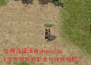 如何选择适合zhaosf9pk传奇游戏的职业与技能搭配? 如何选择适合zhaosf9pk传奇游戏的职业与技能搭配?