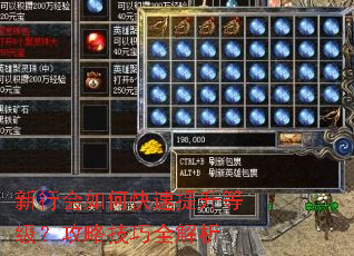 新行会如何快速提升等级?攻略技巧全解析 新行会如何快速提升等级?攻略技巧全解析