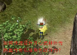 如何快速提升开心武林外传热血传奇私服角色战斗力? 如何快速提升开心武林外传热血传奇私服角色战斗力?