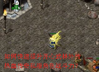 如何快速提升开心武林外传热血传奇私服角色战斗力? 如何快速提升开心武林外传热血传奇私服角色战斗力?