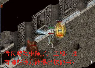 传奇游戏中除了尸王殿,还有哪些地方能爆出技能书? 传奇游戏中除了尸王殿,还有哪些地方能爆出技能书?