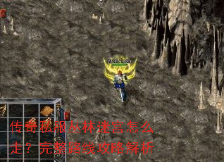 传奇私服丛林迷宫怎么走?完整路线攻略解析 传奇私服丛林迷宫怎么走?完整路线攻略解析