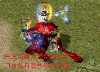 海底仿盛大传奇私服新手入门攻略有哪些常见问题? 海底仿盛大传奇私服新手入门攻略有哪些常见问题?