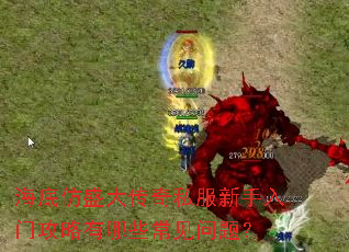 海底仿盛大传奇私服新手入门攻略有哪些常见问题? 海底仿盛大传奇私服新手入门攻略有哪些常见问题?