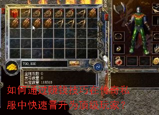 ���ͨ��׬Ǯ�����ڴ���˽���п��ٽ���Ϊ������ң�