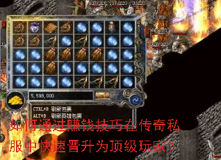 ���ͨ��׬Ǯ�����ڴ���˽���п��ٽ���Ϊ������ң�