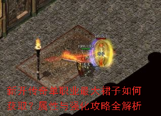 �¿����浥ְҵ���ȹ����λ�ȡ��������ǿ������ȫ����