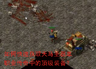 如何快速获取天马圣器单职业传奇中的顶级装备? 如何快速获取天马圣器单职业传奇中的顶级装备?