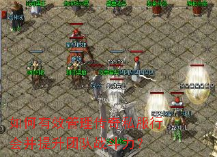 如何有效管理传奇私服行会并提升团队战斗力? 如何有效管理传奇私服行会并提升团队战斗力?