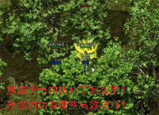 热血传奇内功补丁怎么用?升级内功有哪些高效技巧? 热血传奇内功补丁怎么用?升级内功有哪些高效技巧?