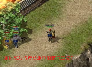 如何成为传奇私服中的霸气王者? 如何成为传奇私服中的霸气王者?