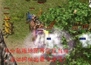 传奇私服地图等级相当时,该如何做出最佳选择? 传奇私服地图等级相当时,该如何做出最佳选择?