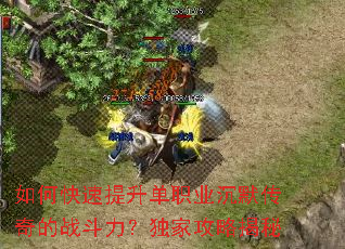 如何快速提升单职业沉默传奇的战斗力?独家攻略揭秘 如何快速提升单职业沉默传奇的战斗力?独家攻略揭秘