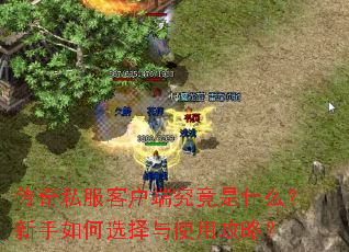 传奇私服客户端究竟是什么?新手如何选择与使用攻略? 传奇私服客户端究竟是什么?新手如何选择与使用攻略?