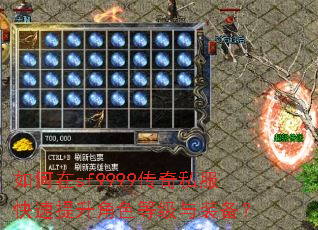 �����sf9999����˽������������ɫ�ȼ���װ����