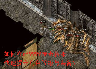 �����sf9999����˽������������ɫ�ȼ���װ����
