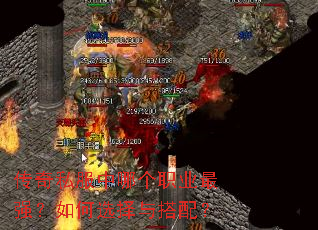 ����˽�����ĸ�ְҵ��ǿ�����ѡ������䣿
