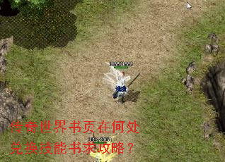 传奇世界书页在何处兑换技能书求攻略? 传奇世界书页在何处兑换技能书求攻略?