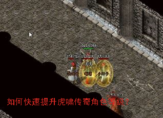 如何快速提升虎啸传奇角色等级? 如何快速提升虎啸传奇角色等级?