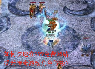 如何快速在999免费网站提升传奇游戏角色等级? 如何快速在999免费网站提升传奇游戏角色等级?