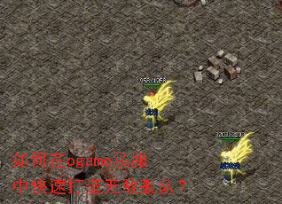 如何在ogame私服中快速打造无敌舰队? 如何在ogame私服中快速打造无敌舰队?