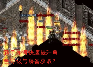 新手如何快速提升角色等级与装备获取? 新手如何快速提升角色等级与装备获取?