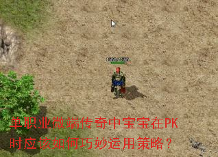 单职业微端传奇中宝宝在PK时应该如何巧妙运用策略? 单职业微端传奇中宝宝在PK时应该如何巧妙运用策略?