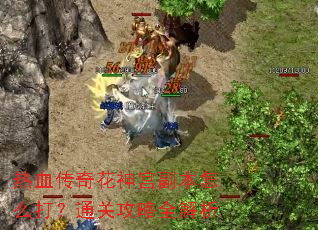 ��Ѫ���滨�񹬸�����ô��ͨ�ع���ȫ����