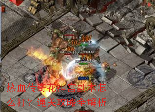 ��Ѫ���滨�񹬸�����ô��ͨ�ع���ȫ����