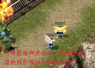 传奇新服网大全中,如何快速提升角色等级与装备战力? 传奇新服网大全中,如何快速提升角色等级与装备战力?