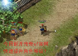 今日新开传奇sf如何快速提升角色等级? 今日新开传奇sf如何快速提升角色等级?