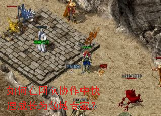 如何在团队协作中快速成长为领域专家? 如何在团队协作中快速成长为领域专家?