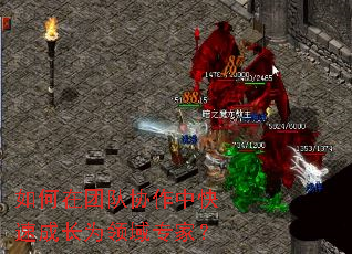 如何在团队协作中快速成长为领域专家? 如何在团队协作中快速成长为领域专家?