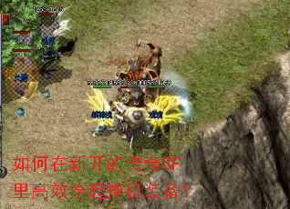 如何在新开的传奇SF里高效捡起挂机装备? 如何在新开的传奇SF里高效捡起挂机装备?