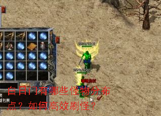 白日门有哪些怪物分布点?如何高效刷怪? 白日门有哪些怪物分布点?如何高效刷怪?