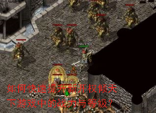如何快速提升新开权倾天下游戏中的战力与等级? 如何快速提升新开权倾天下游戏中的战力与等级?