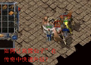 如何让紫霞仙子”在传奇中快速升级? 如何让紫霞仙子”在传奇中快速升级?