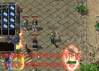 如何像凤凰传奇自由飞翔般在传奇游戏中快速升级? 如何像凤凰传奇自由飞翔般在传奇游戏中快速升级?