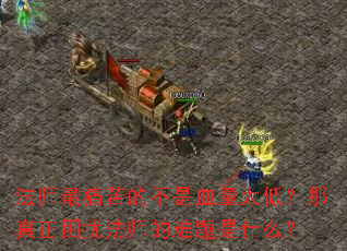 ��ʦ��ʹ��Ĳ���Ѫ��̫�ͣ����������ŷ�ʦ��������ʲô��