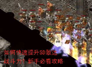 ��ο�������SD�Ҵ�ս���������ֱؿ�����