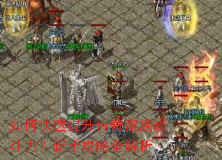 如何快速提升传奇家族战斗力?新手攻略全解析 如何快速提升传奇家族战斗力?新手攻略全解析