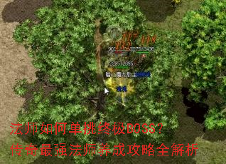 ��ʦ��ε����ռ�BOSS��������ǿ��ʦ���ɹ���ȫ����