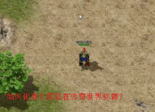 如何化身九尾狐在传奇世界称霸? 如何化身九尾狐在传奇世界称霸?