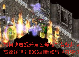 ��ο���������ɫ�ȼ���װ����ȡ����Щ��Ч;����BOSSˢ�µ�����������