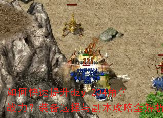 ��ο�������dzy-204��ɫս����װ��ѡ���븱������ȫ����
