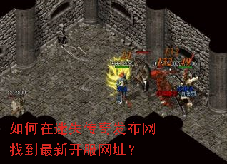 �������ʧ���淢�����ҵ����¿�����ַ��