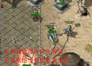 如何快速提升角色等级?天星网络传奇攻略全解析 如何快速提升角色等级?天星网络传奇攻略全解析