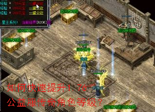 如何快速提升1.76公益服传奇角色等级? 如何快速提升1.76公益服传奇角色等级?